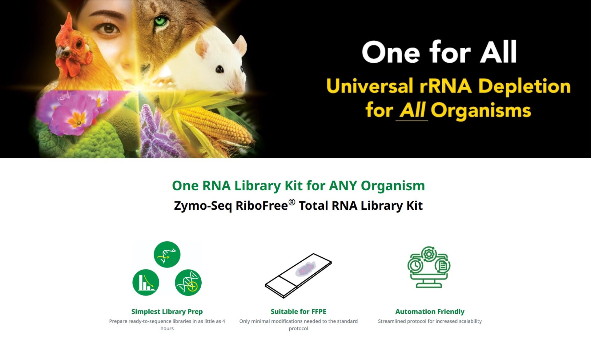 RNA-Seq: Exploring Beyond the Commonly Studied Model Organisms